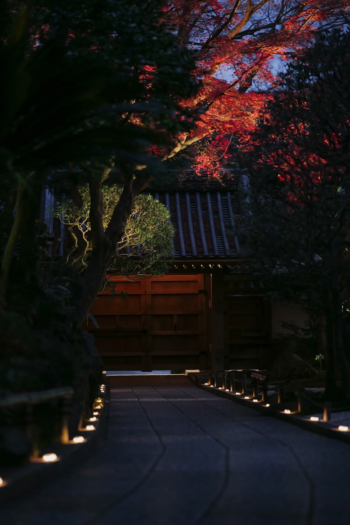 夕闇に浮かぶ紅葉と木戸