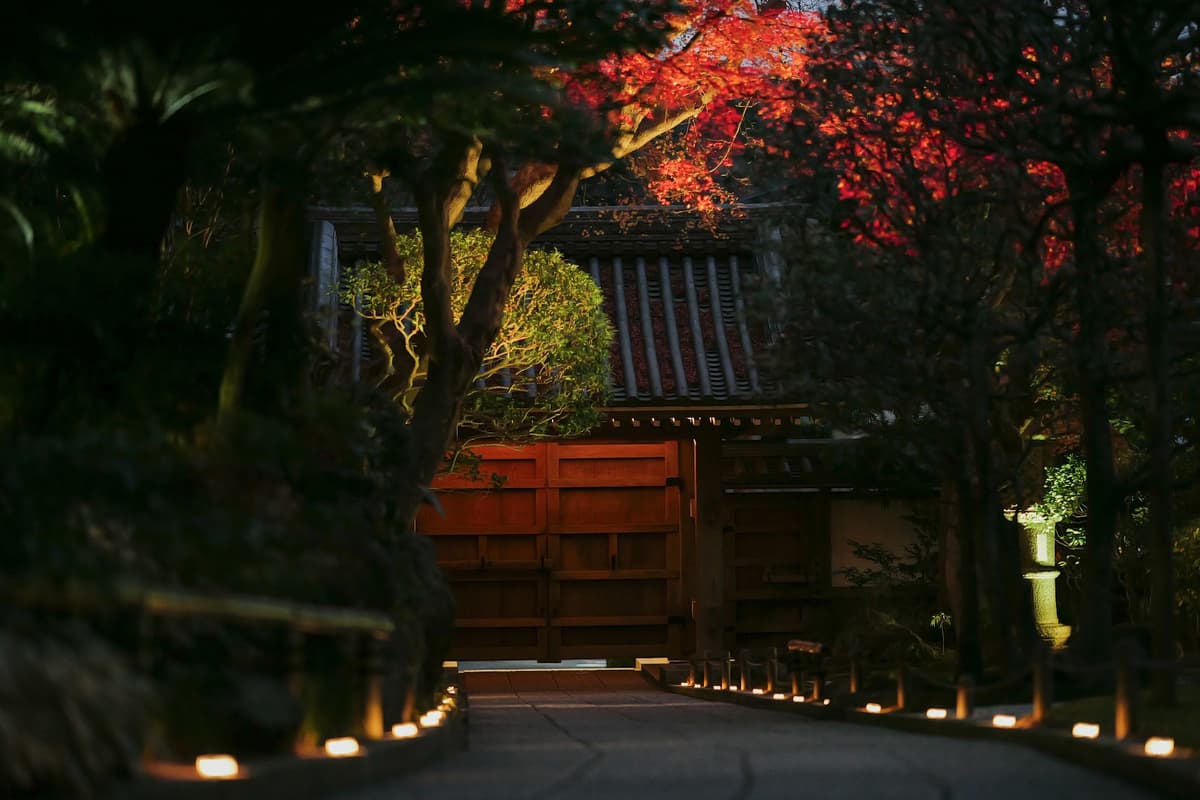 木々に囲まれた灯りの参道