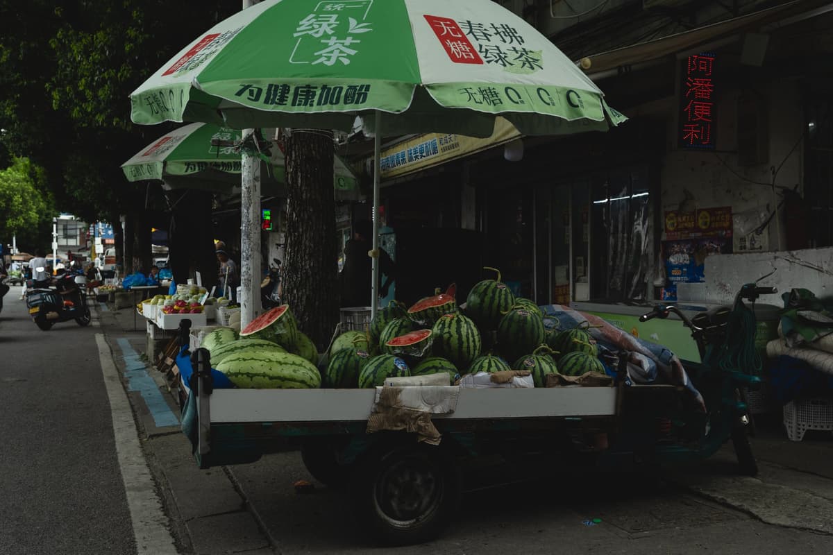 中国・蘇州2026 — 04